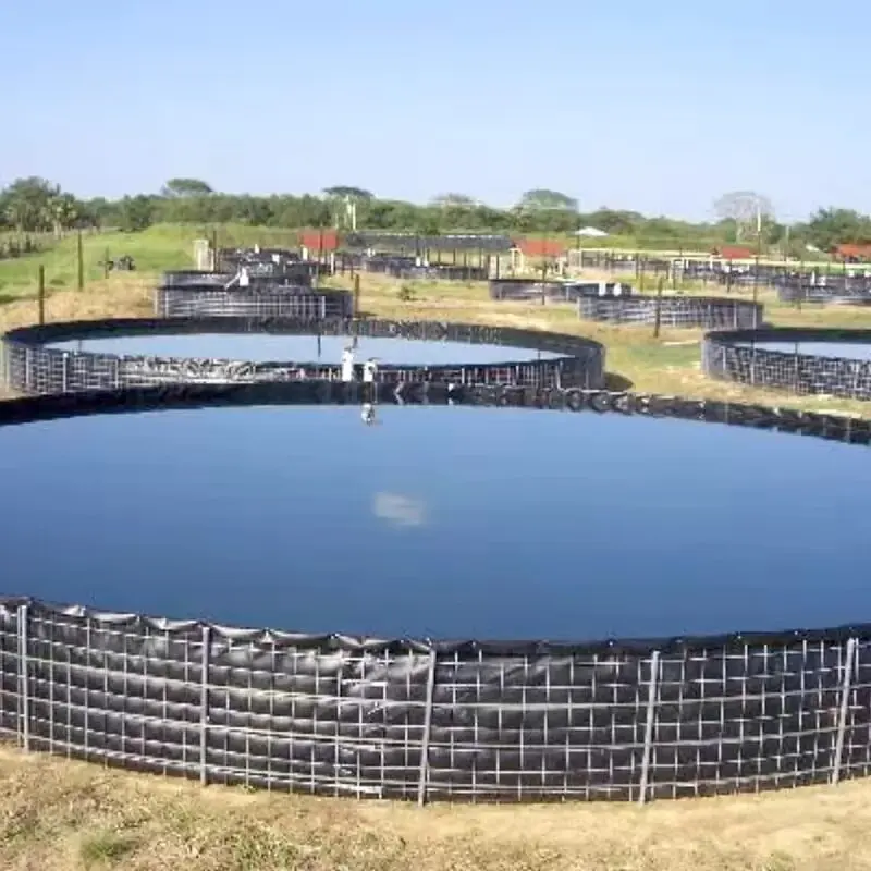 HDPE Geomembrane for Agriculture in South Africa T